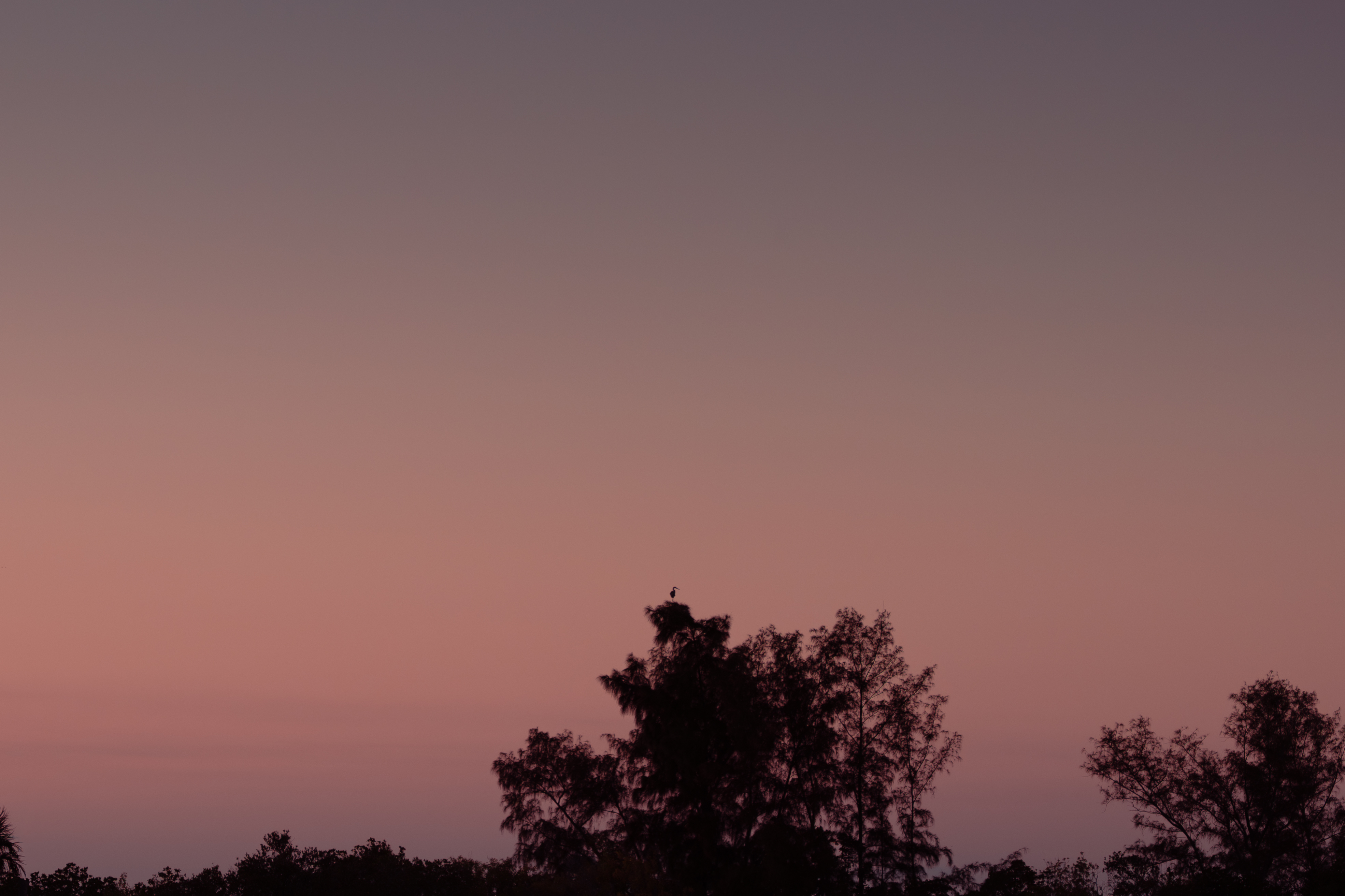 The Small in the Vast